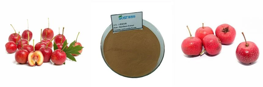 Hawthorn Berry Powder