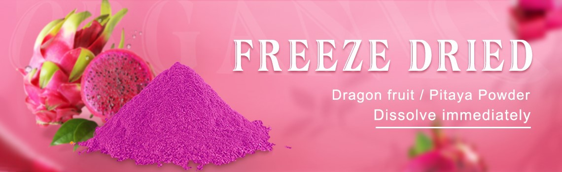 1Freeze Dried Dragon Fruit Powder 1Freeze Dried Dragon Fruit Powder