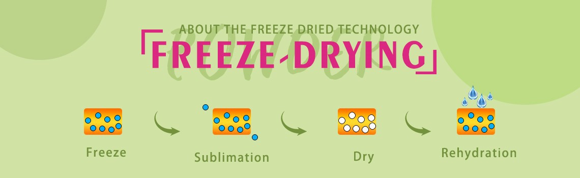 3Freeze Dried Dragon Fruit Powder 3Freeze Dried Dragon Fruit Powder
