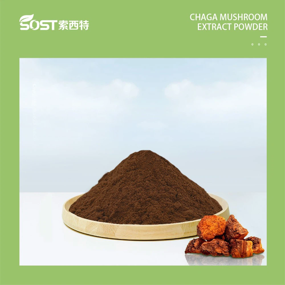 Chaga Mushroom Exatract Chaga Mushroom Exatract