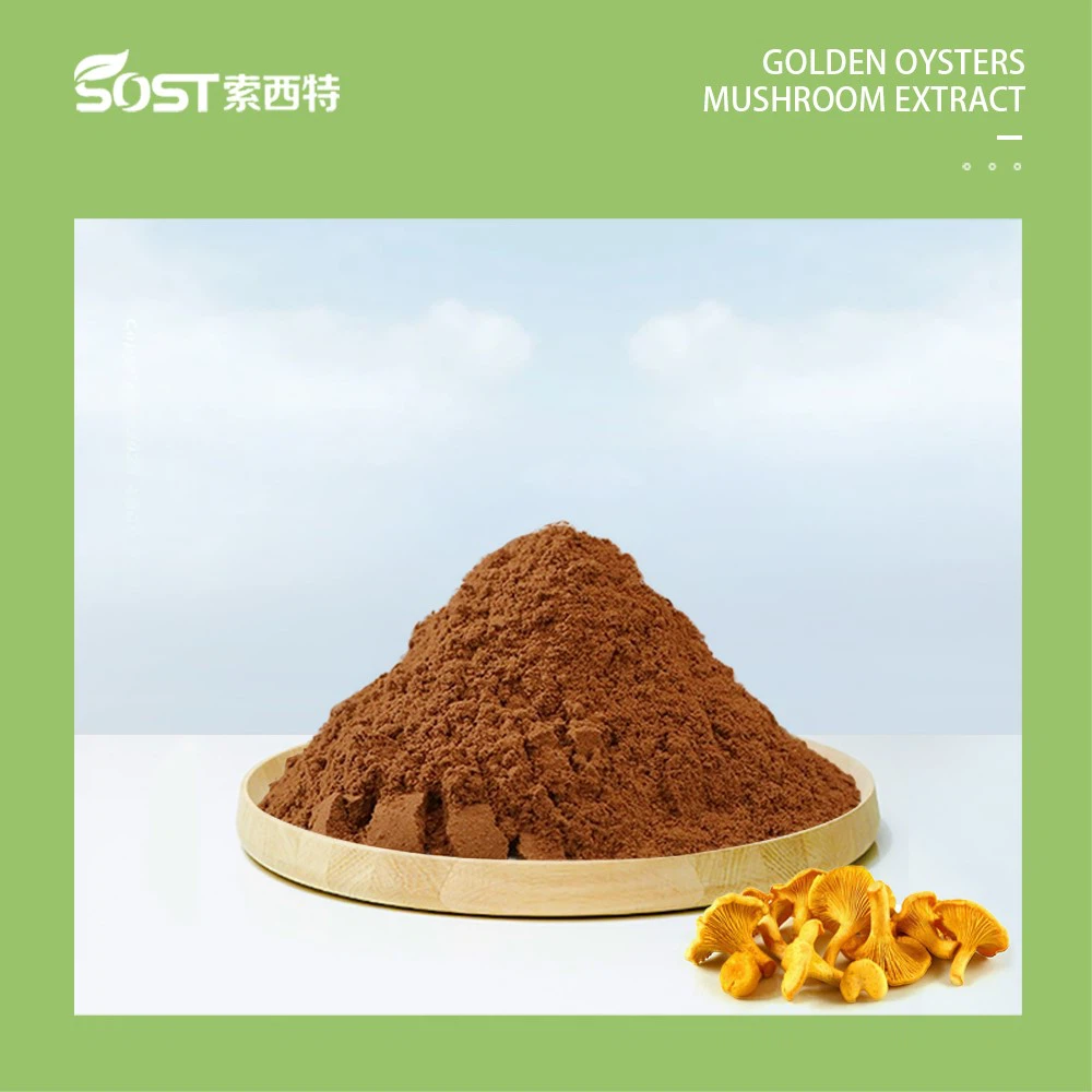 Golden Oysters Extract Golden Oysters Extract