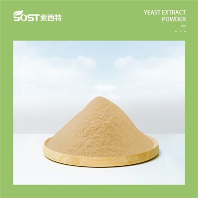 Maistinis mielių ekstraktas