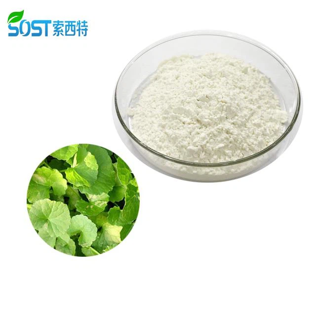Gotu Kola Extract Powder