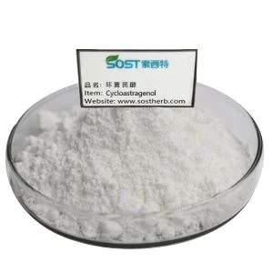 Cycloastragenol Extract Powder