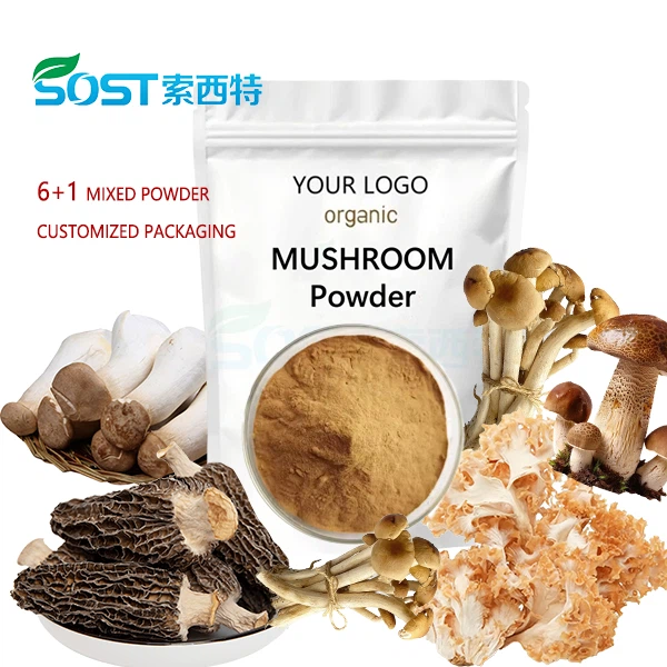 Porcini Mushroom Extract factory